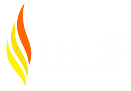 IMFS - Study Abroad Logo