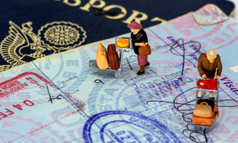 Screenshot 2025-08-25 155901 - Best Study Abroad Consultants in India visa